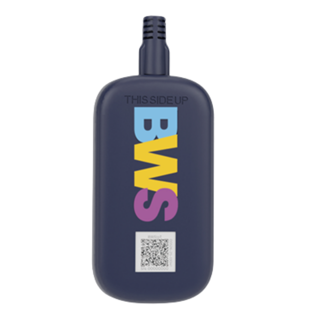 BWS LoRaP2P/LoRaWAN